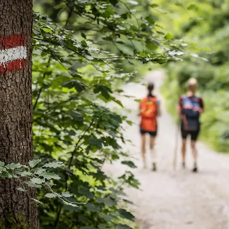 Appartamento & The Saint Wolfgang