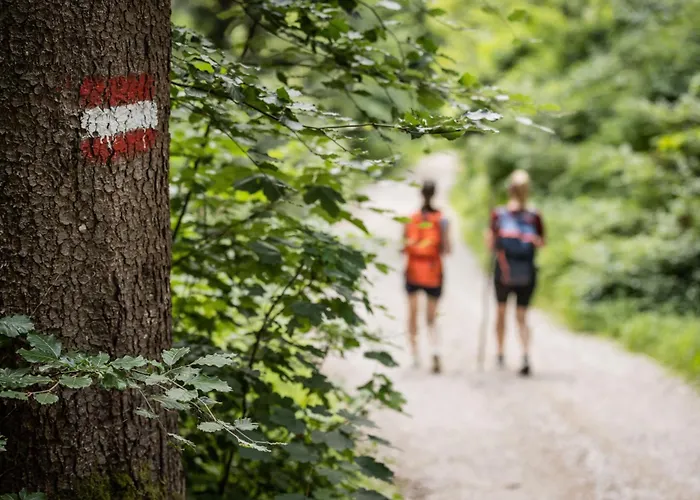 Apartment & The Sankt Wolfgang im Salzkammergut